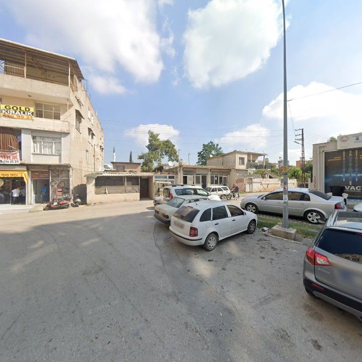 Fotoğraf 7