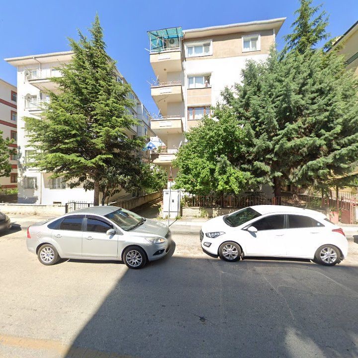 Fotoğraf 11