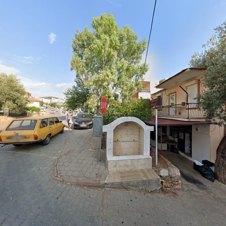Fotoğraf 7