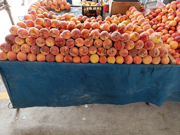 Işık Pide
