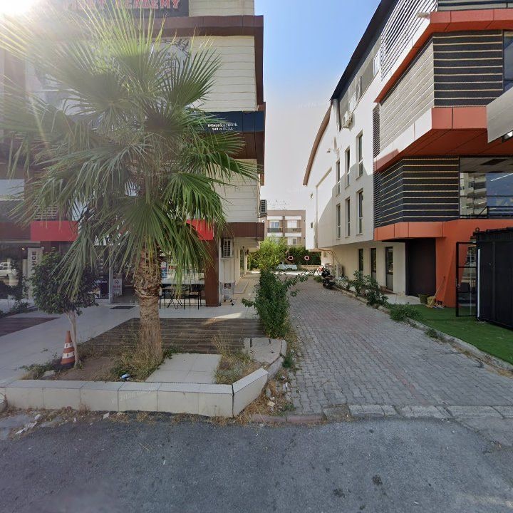 Fotoğraf 8