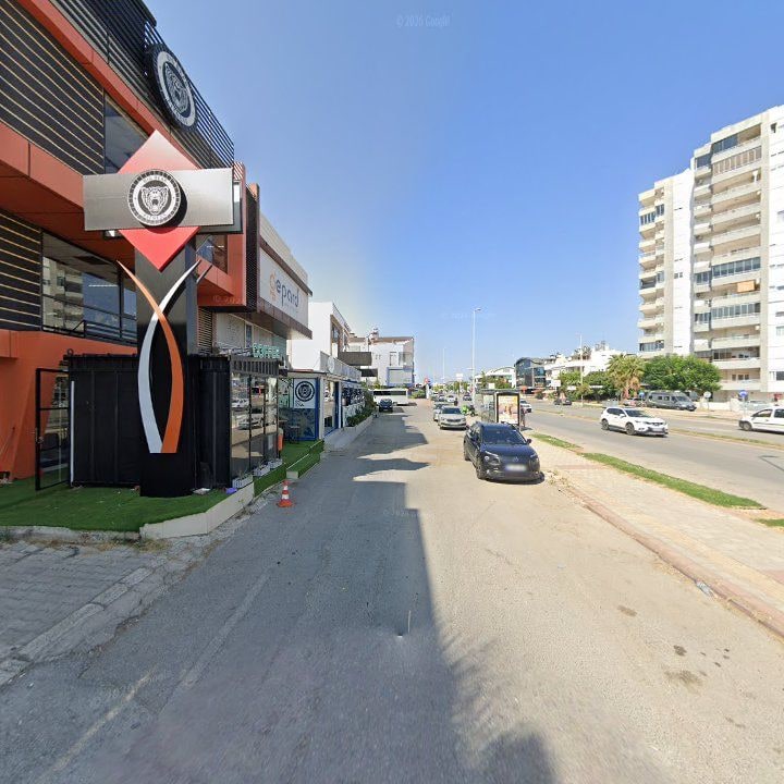 Fotoğraf 9