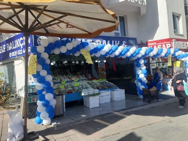 İskele Balıkçısı
