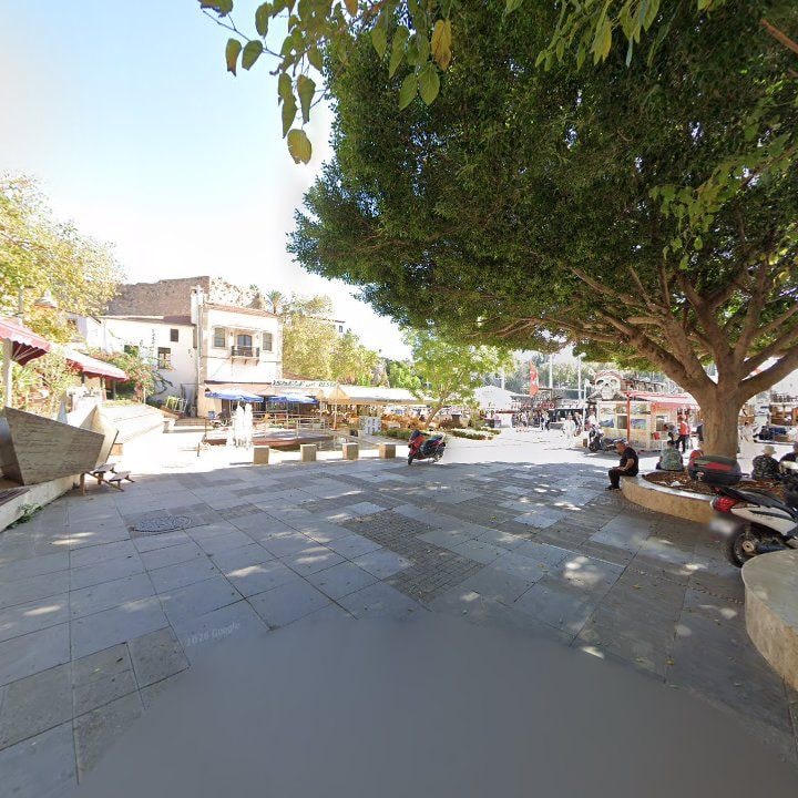 Fotoğraf 11