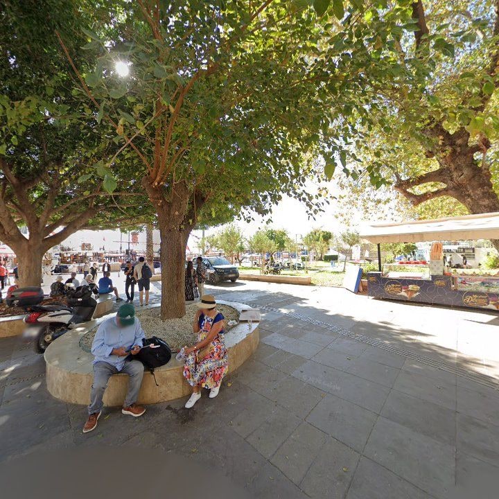 Fotoğraf 12