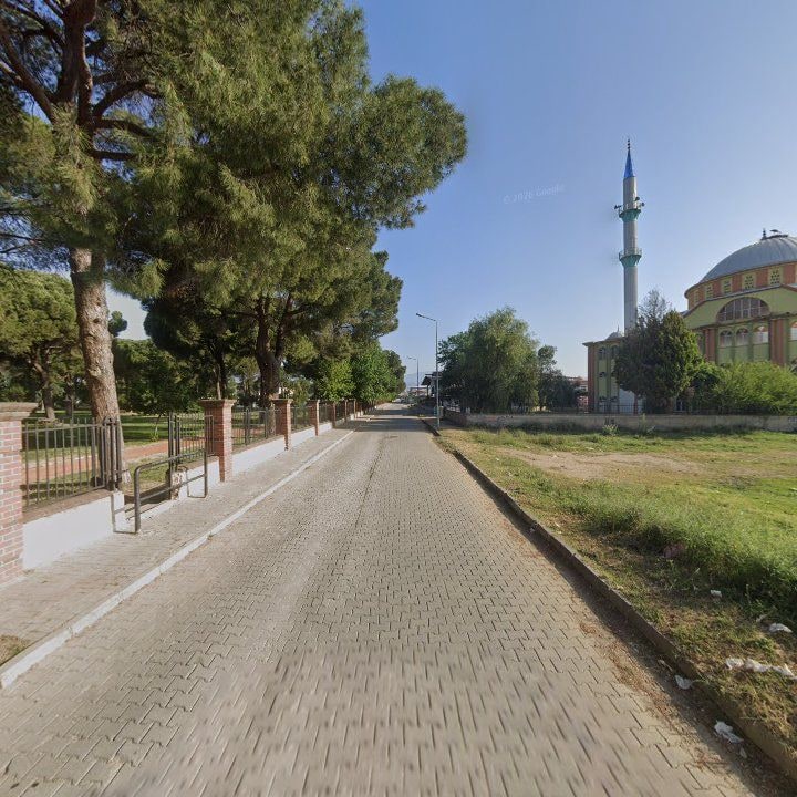 Fotoğraf 8