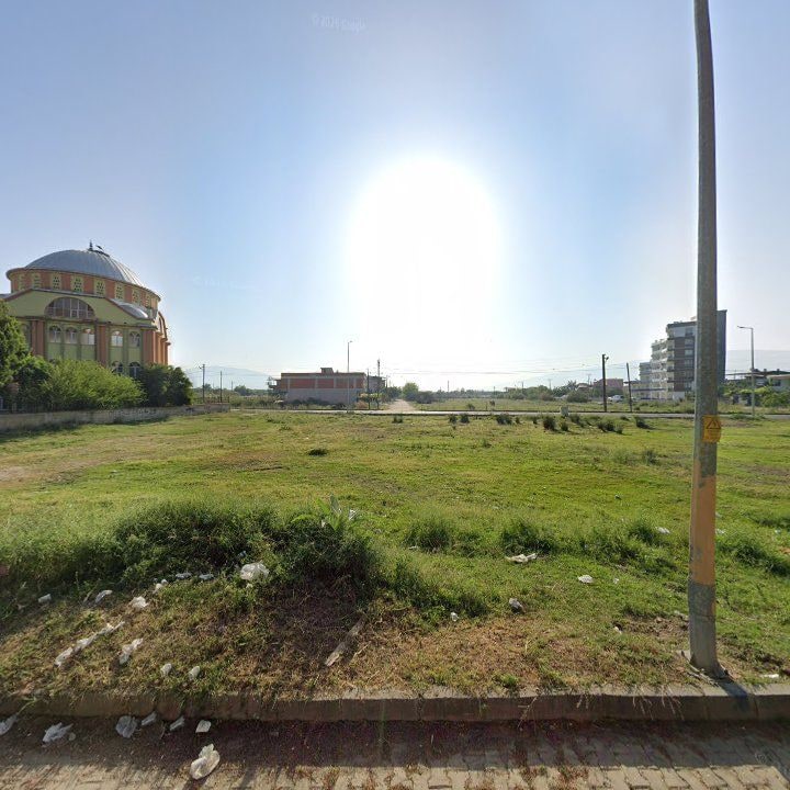 Fotoğraf 9