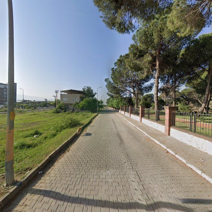 Fotoğraf 10