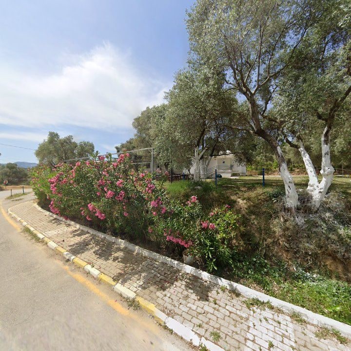 Fotoğraf 9