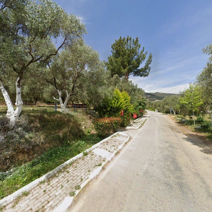 Fotoğraf 10