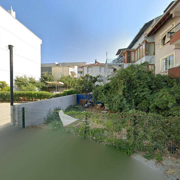 Fotoğraf 11