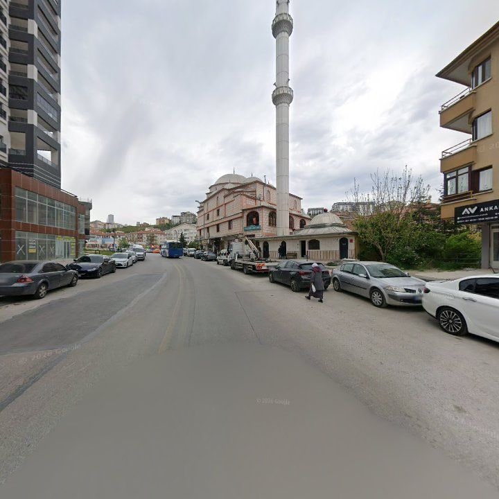 Fotoğraf 7