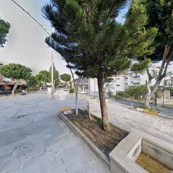 Fotoğraf 6