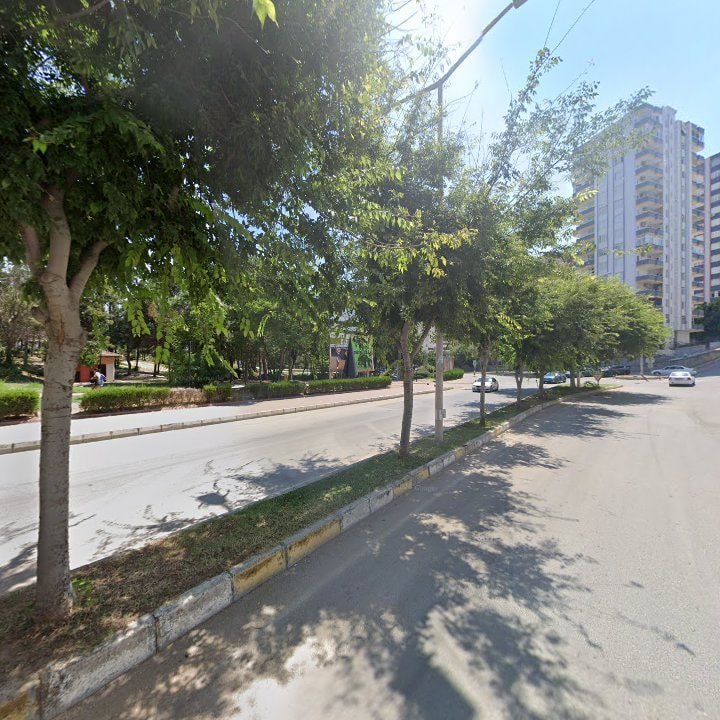 Fotoğraf 9