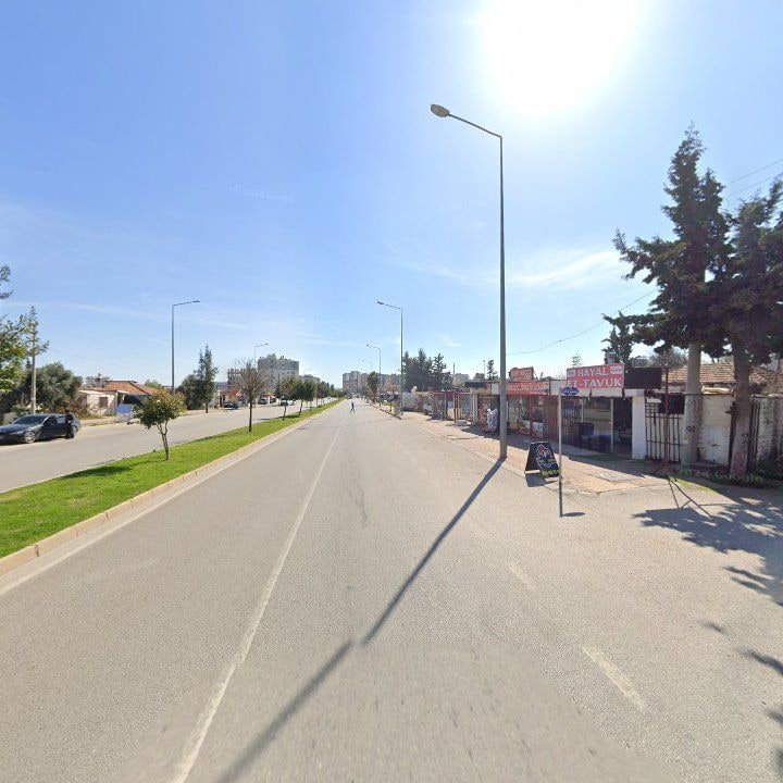 Fotoğraf 8