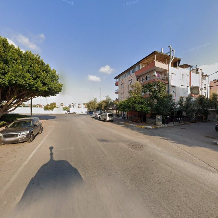 Fotoğraf 11