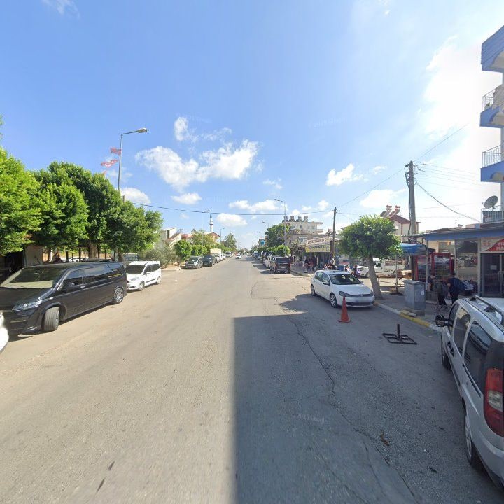 Fotoğraf 8