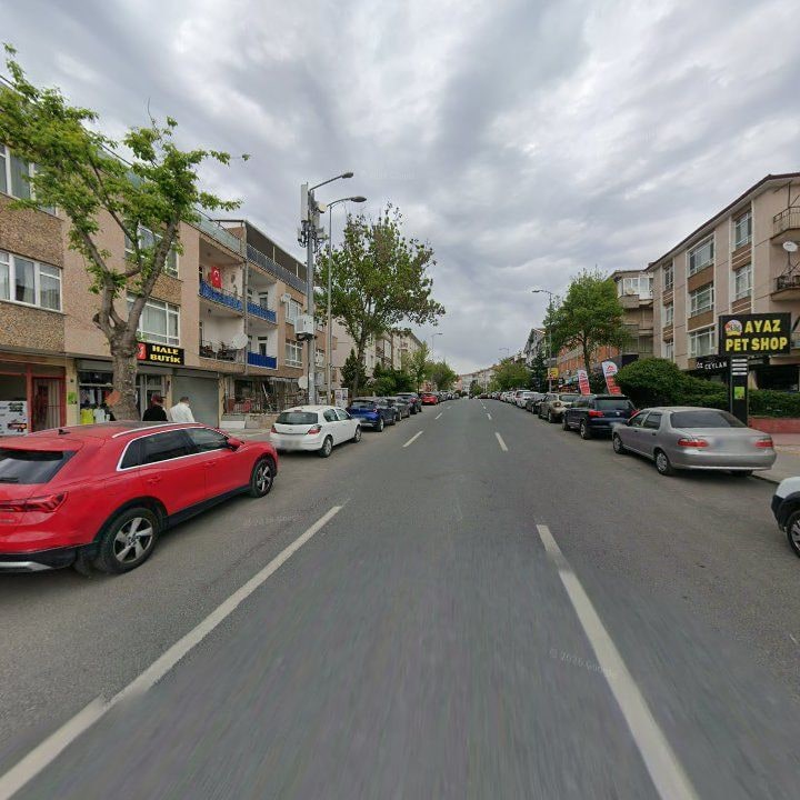 Fotoğraf 11
