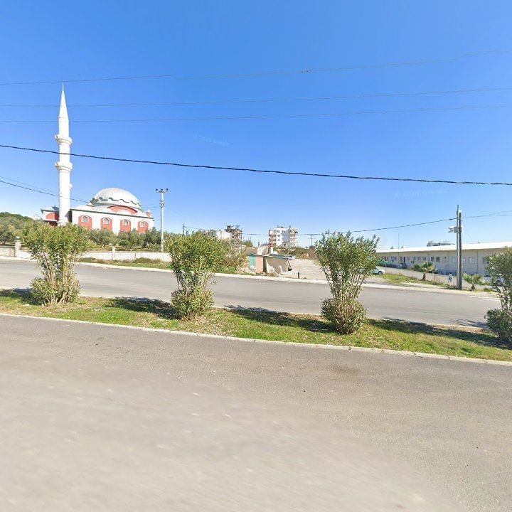 Fotoğraf 8
