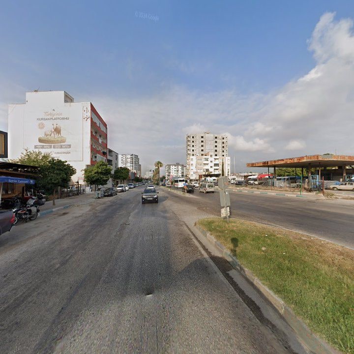 Fotoğraf 6