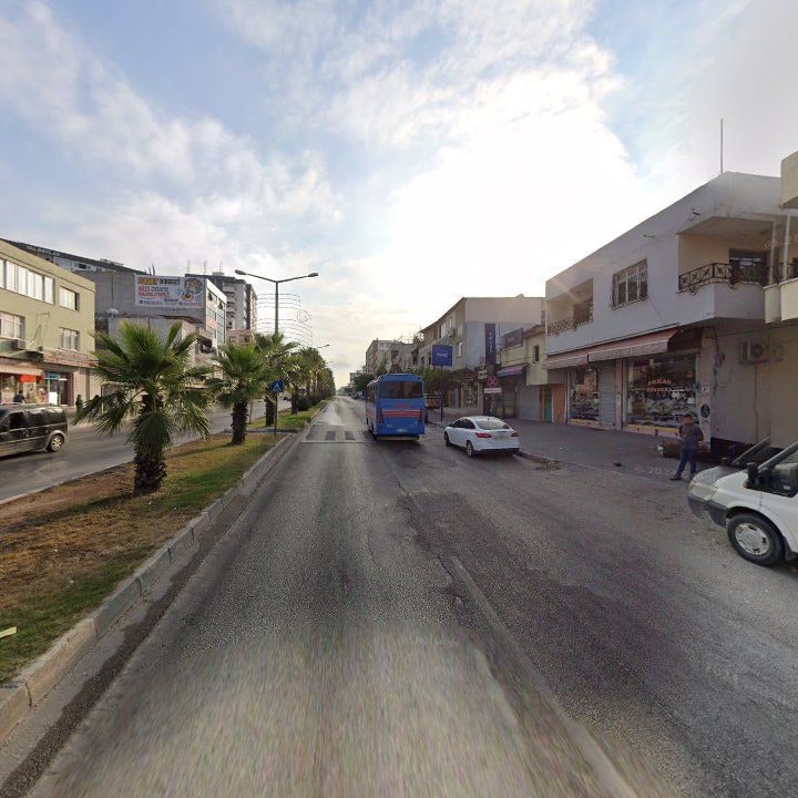 Fotoğraf 8