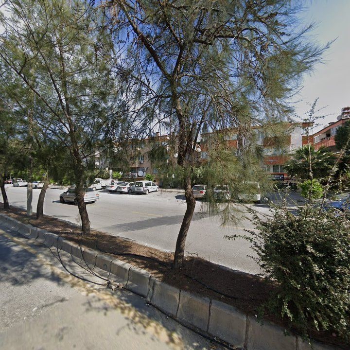Fotoğraf 6