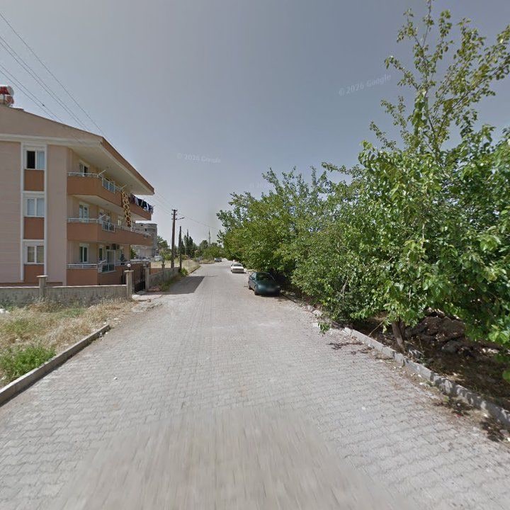 Fotoğraf 9