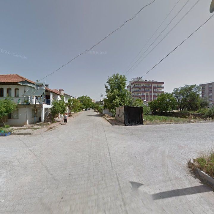 Fotoğraf 11