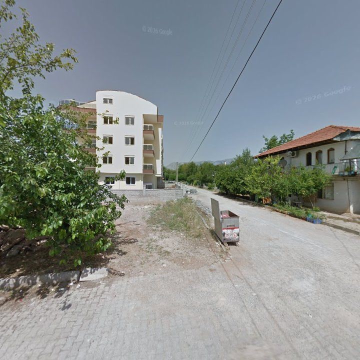 Fotoğraf 10