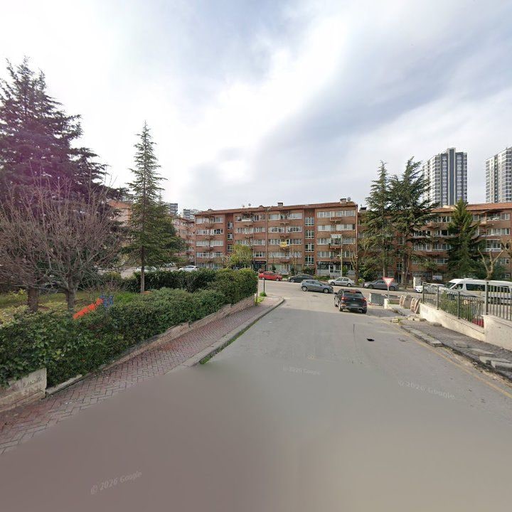 Fotoğraf 12