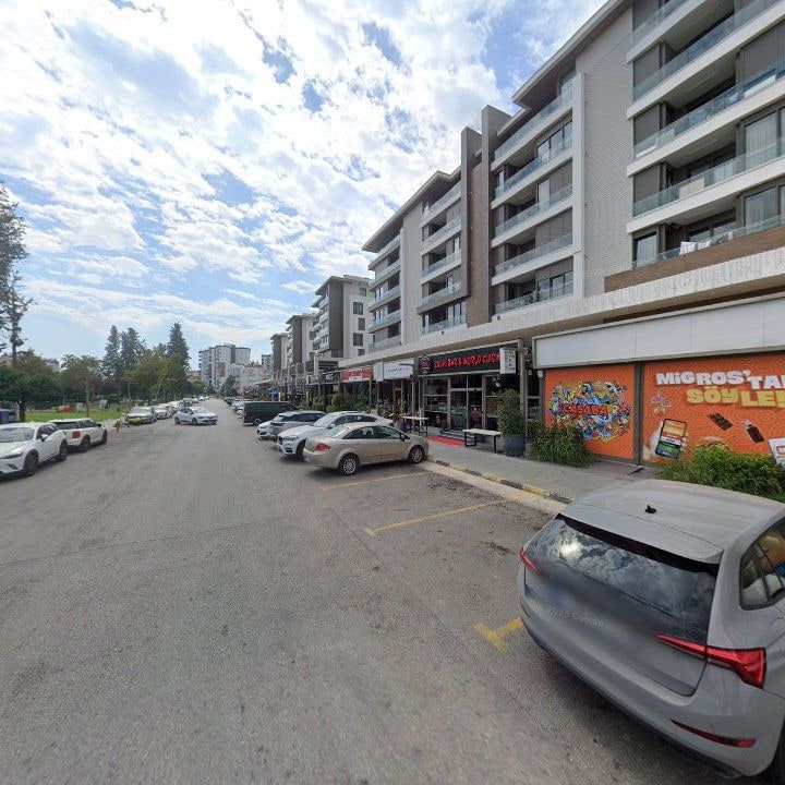 Fotoğraf 12
