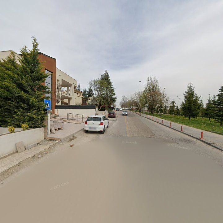 Fotoğraf 11