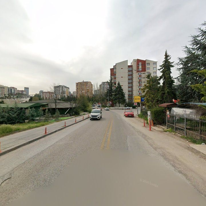 Fotoğraf 13