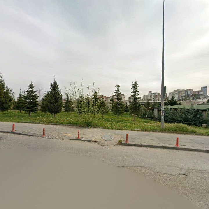 Fotoğraf 12