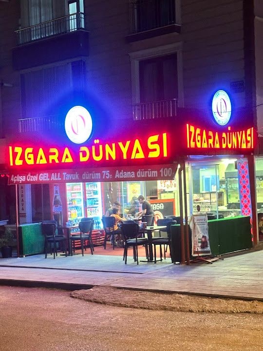 IZGARA DÜNYASI