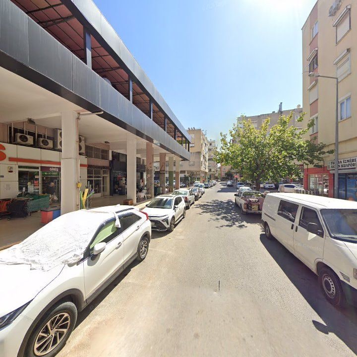 Fotoğraf 7