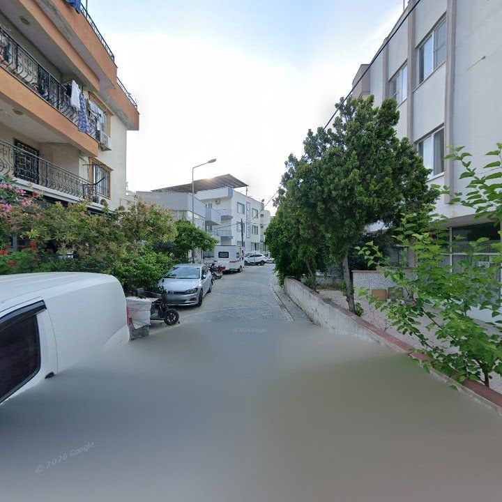 Fotoğraf 11