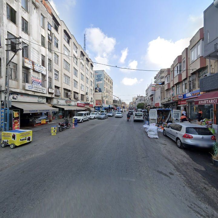 Fotoğraf 12
