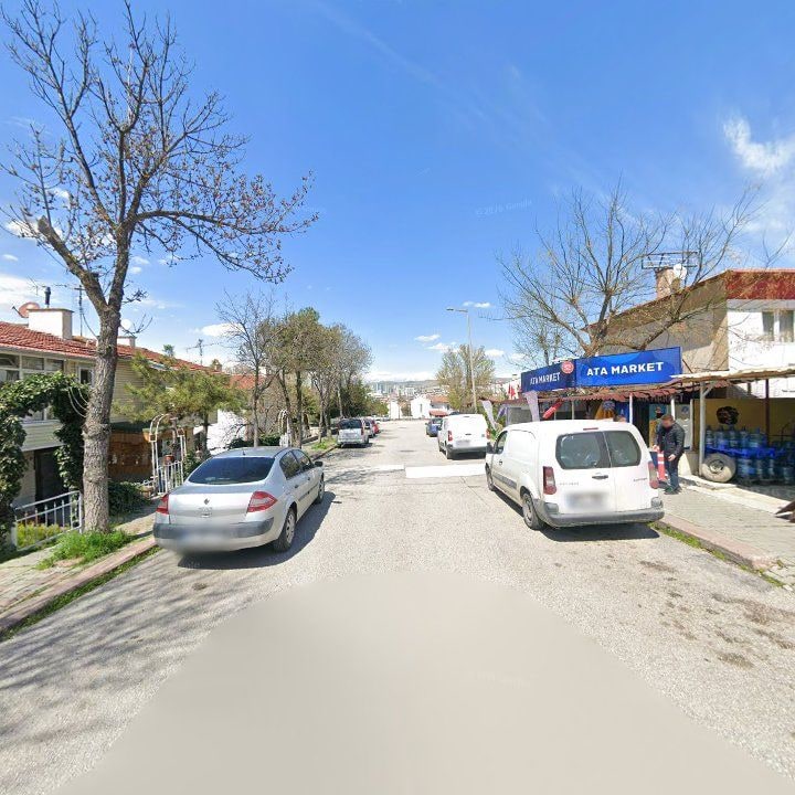 Fotoğraf 11