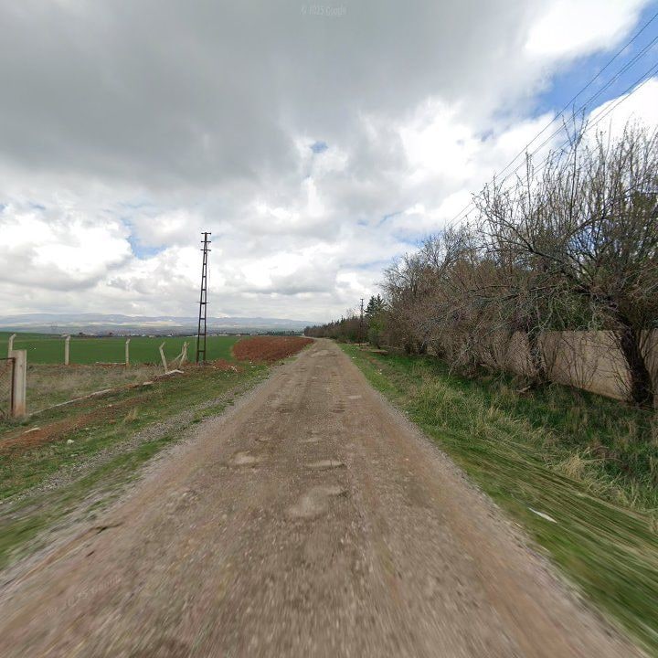 Fotoğraf 6
