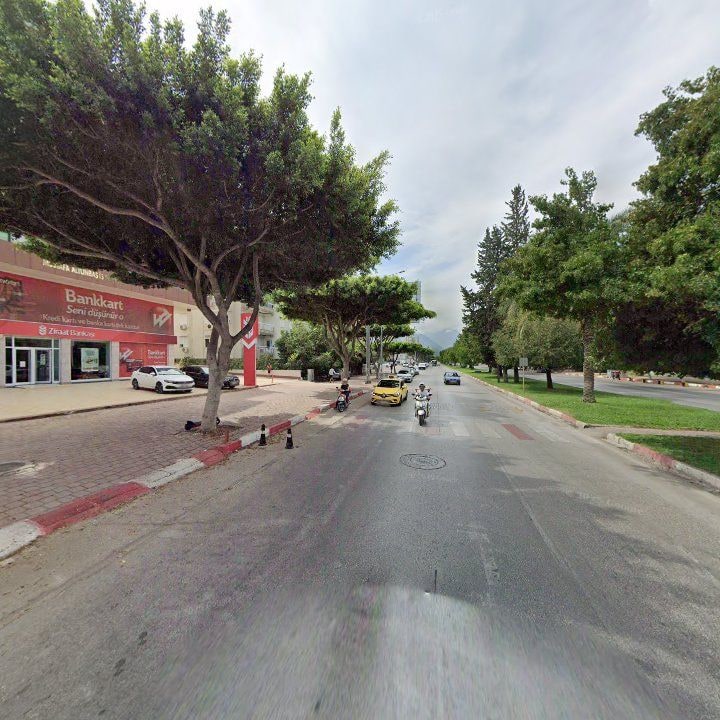 Fotoğraf 7