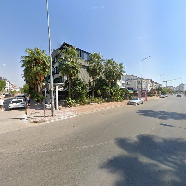 Fotoğraf 10