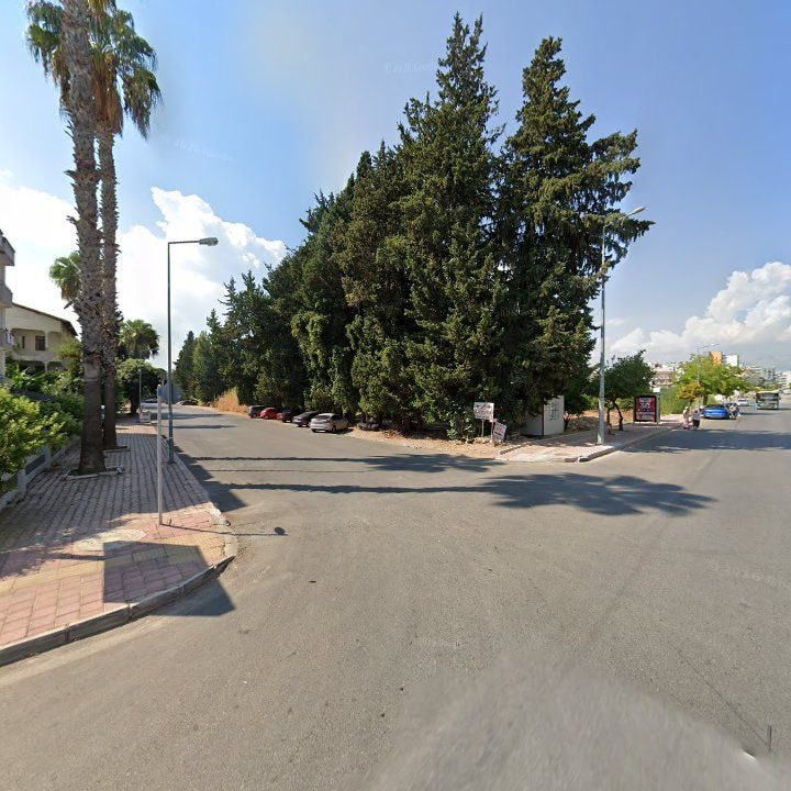 Fotoğraf 12