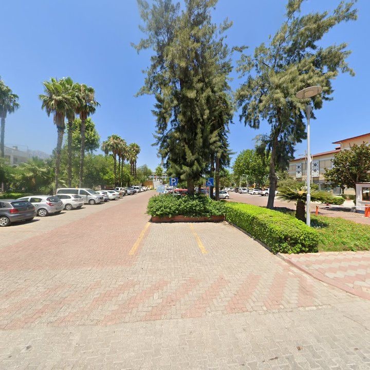Fotoğraf 10