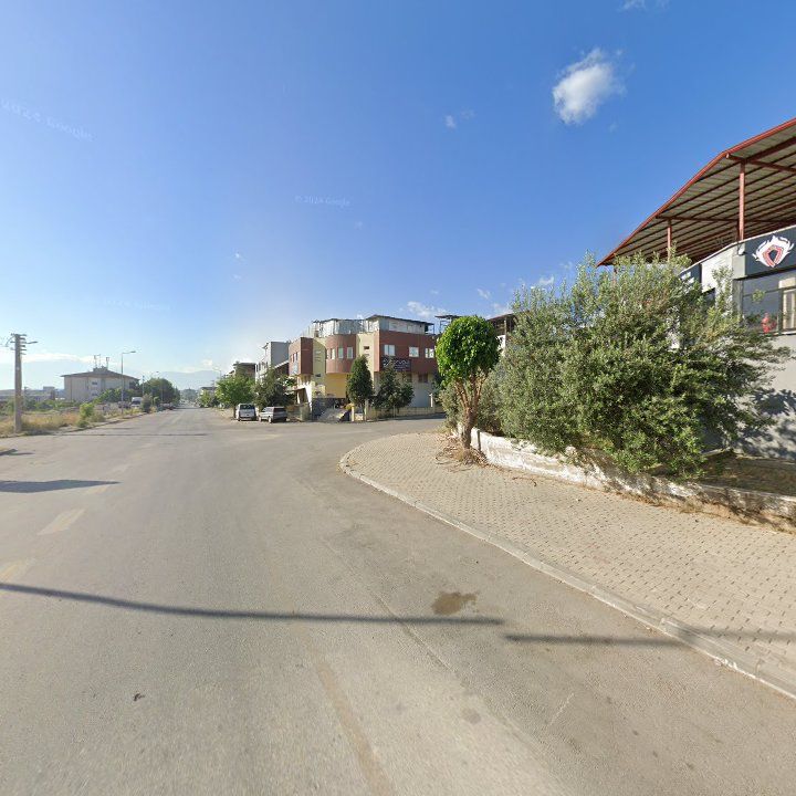 Fotoğraf 12