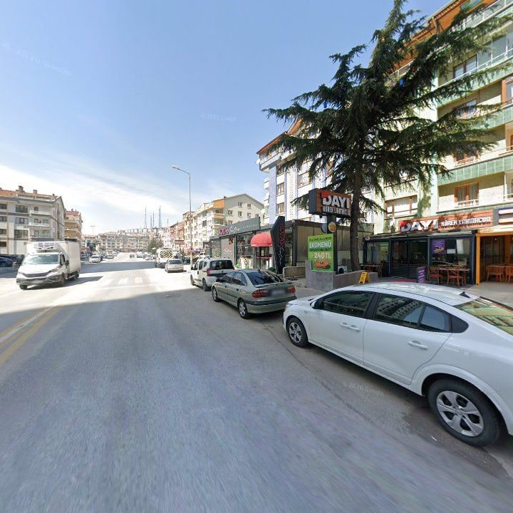 Fotoğraf 9