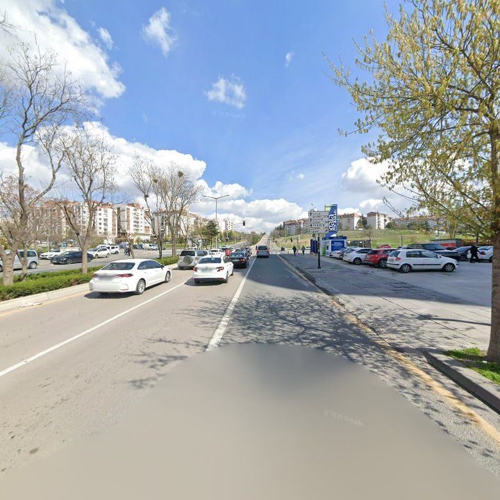 Fotoğraf 12