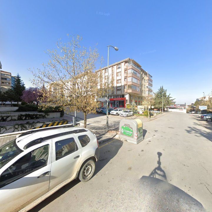 Fotoğraf 10