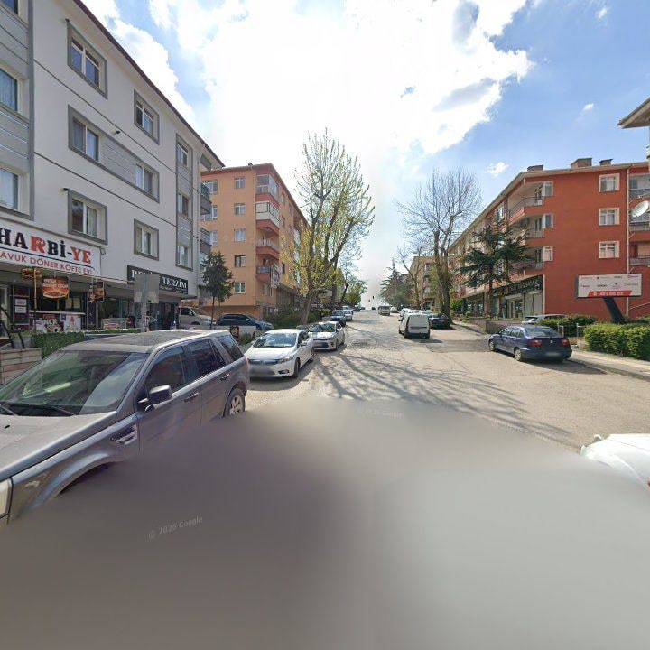 Fotoğraf 11
