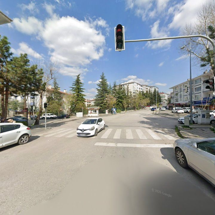 Fotoğraf 9